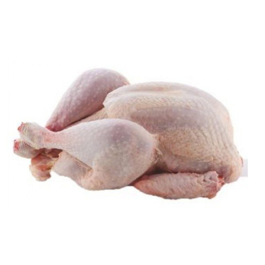 tacchino-a-busto-maschio-e-femmina2